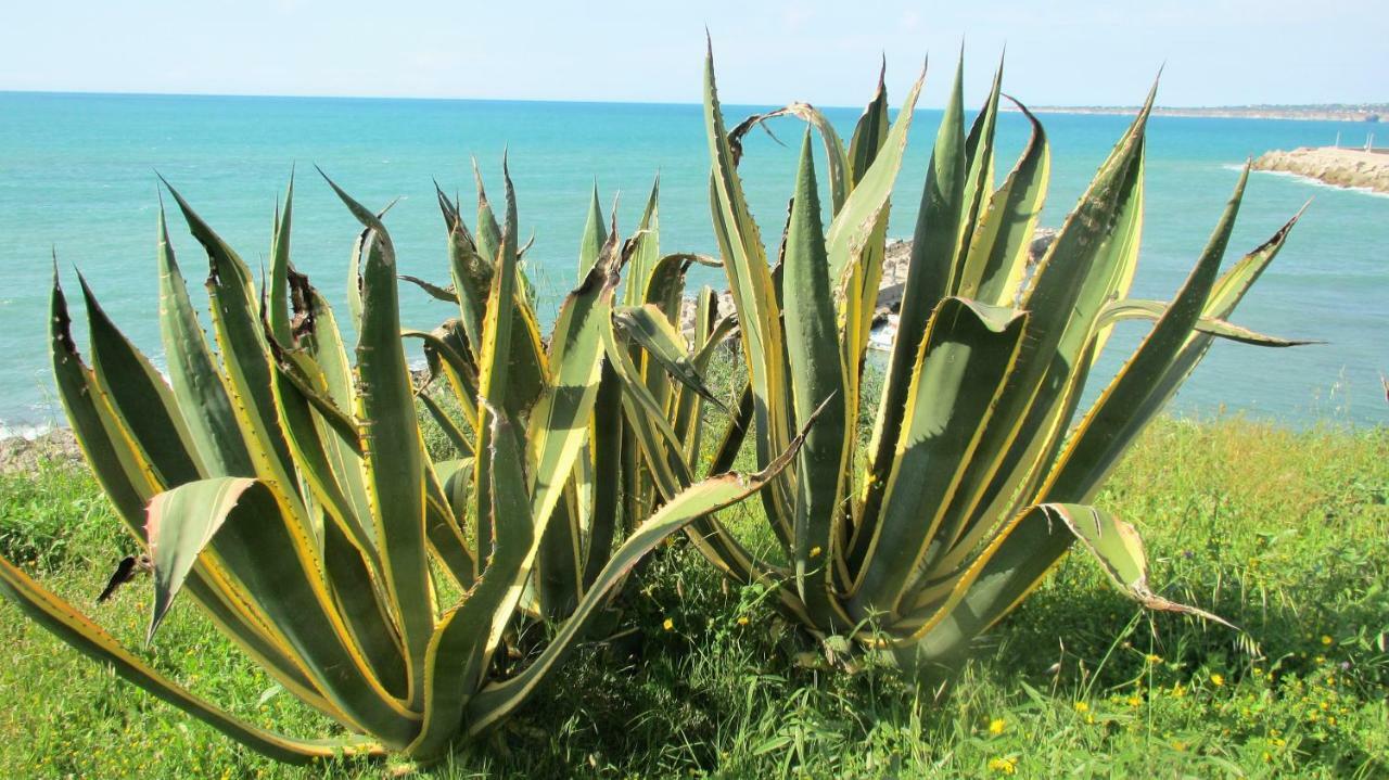 דירות טראפטו Sapori Di Mare מראה חיצוני תמונה