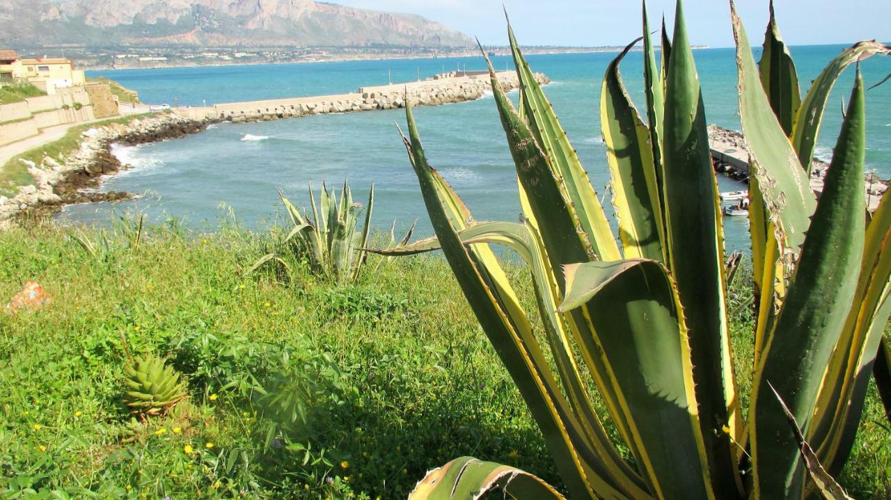 דירות טראפטו Sapori Di Mare מראה חיצוני תמונה