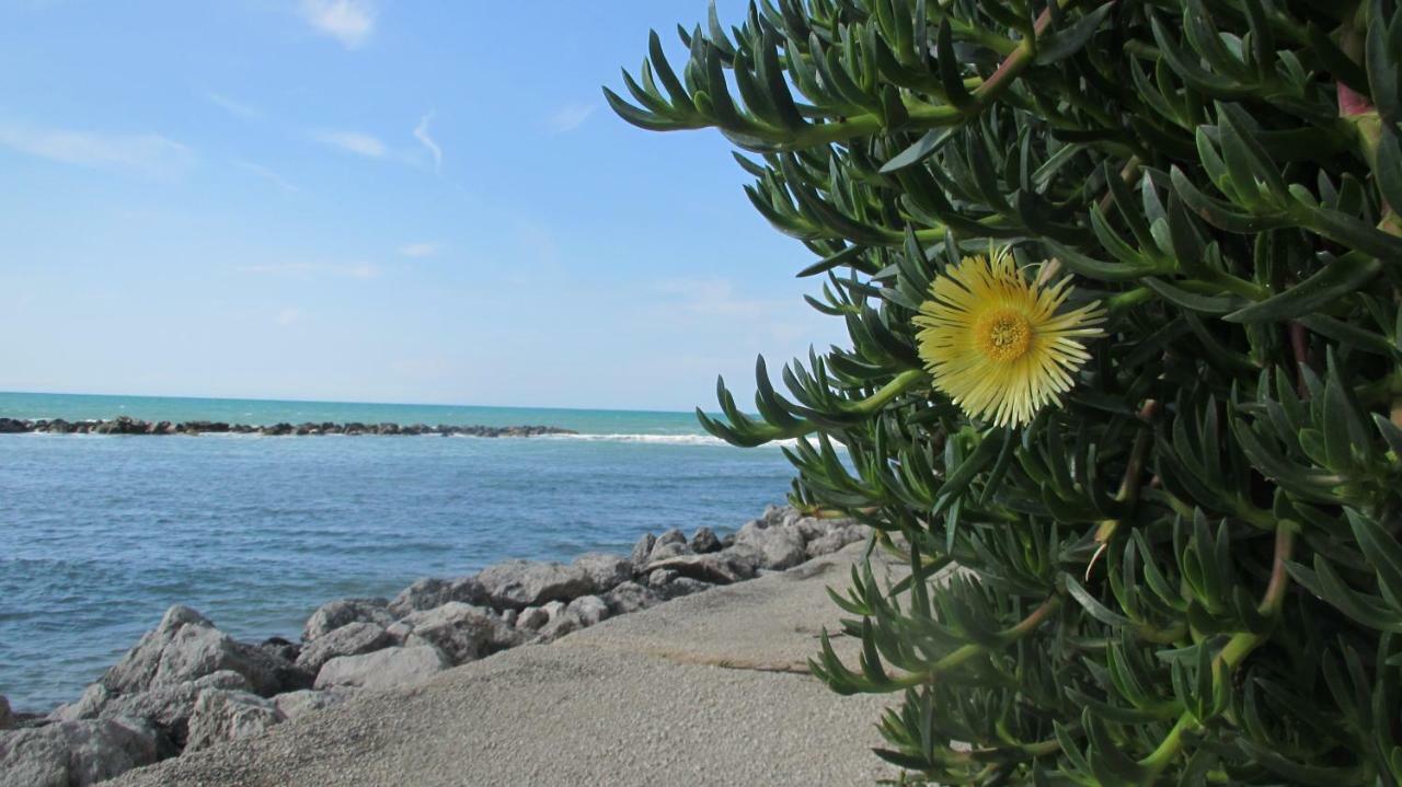 דירות טראפטו Sapori Di Mare מראה חיצוני תמונה